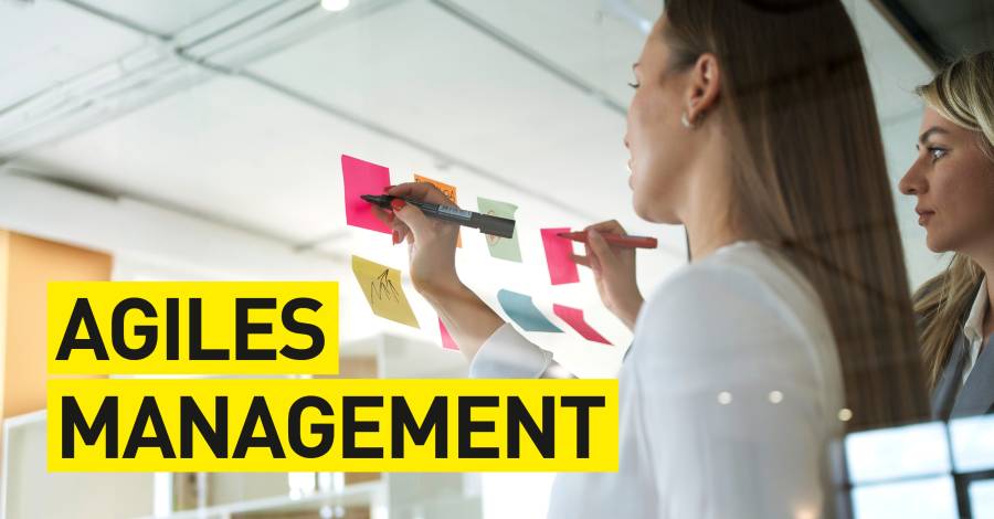 Zwei Personen beschriften Haftnotizen an Glaswand, Text „Agiles Management“.